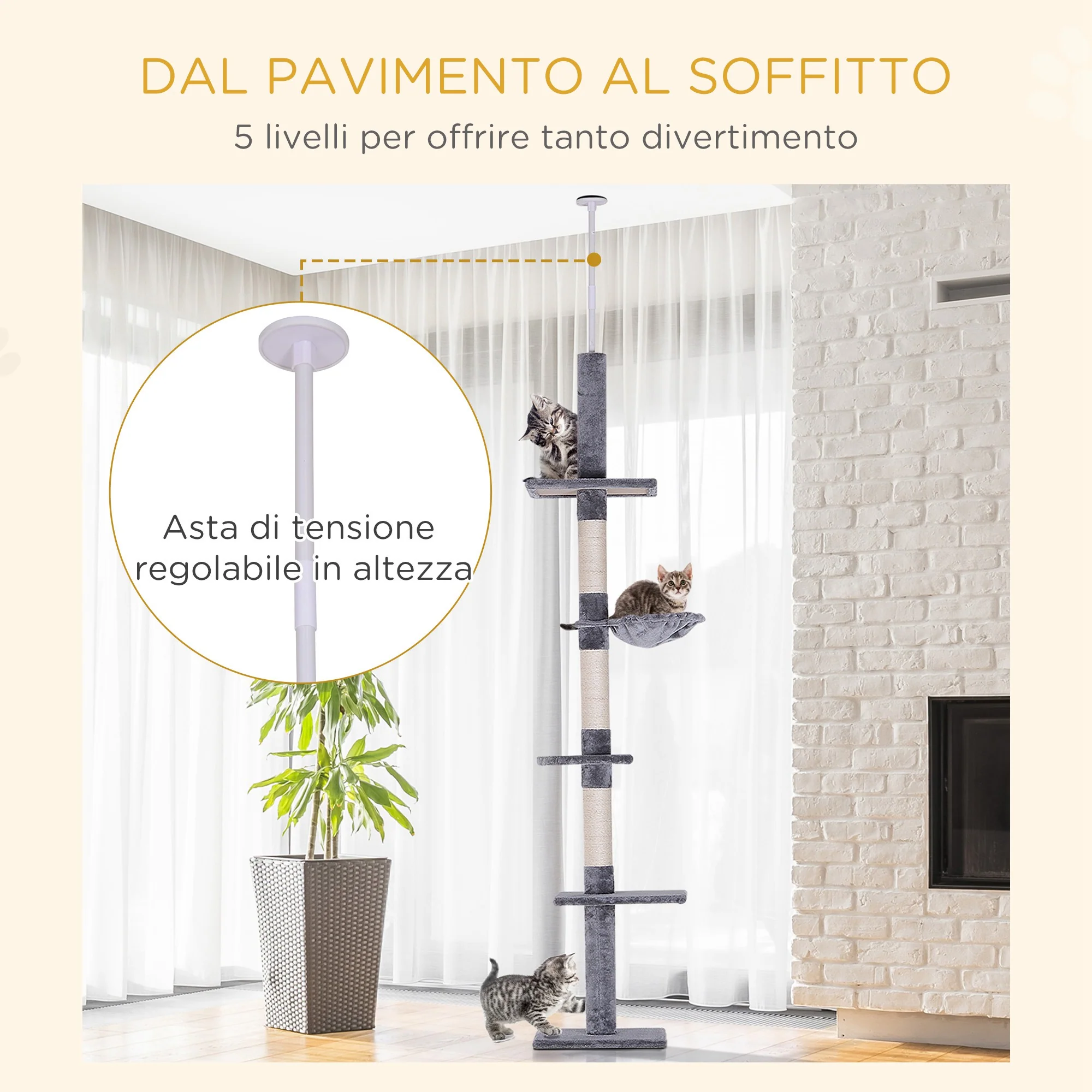 Immagine prodotto 5